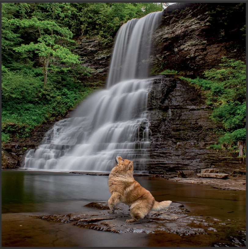 cd de détente mp3 (junior qui ce balade) créé par pierreau zen musique rousseau geoffrey 3h de musque de détente