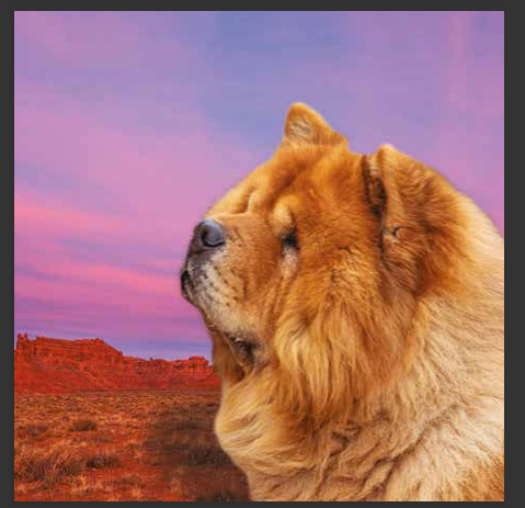 cd de musique de détente mp3 (junior qui d'or) créé par pierreau zen musique donc rousseau geoffrey environ 3h de musique