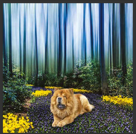 cd de détente mp3 (junior qui ce balade) créé par pierreau zen musique rousseau geoffrey 3h de musque de détente