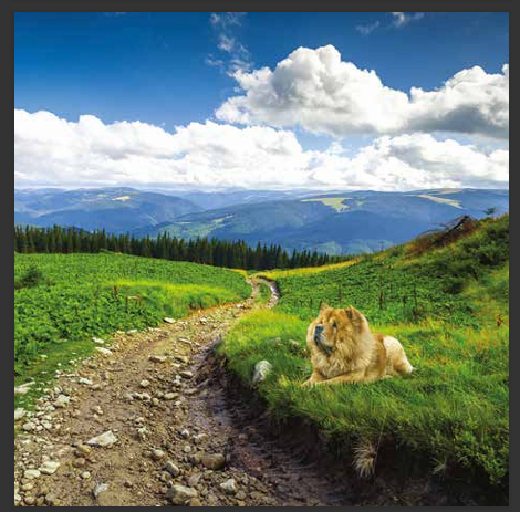 cd de musique de détente mp3 (BALADE DANS LES RËVES DE JUNIOR) créé par pierreau zen musique donc rousseau geoffrey environ 3h de musique