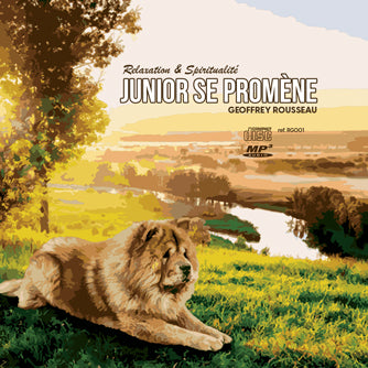 cd de détente mp3 (junior qui ce balade) créé par pierreau zen musique rousseau geoffrey 3h de musque de détente