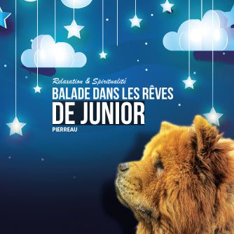 cd de musique de détente mp3 (BALADE DANS LES RËVES DE JUNIOR) créé par pierreau zen musique donc rousseau geoffrey environ 3h de musique