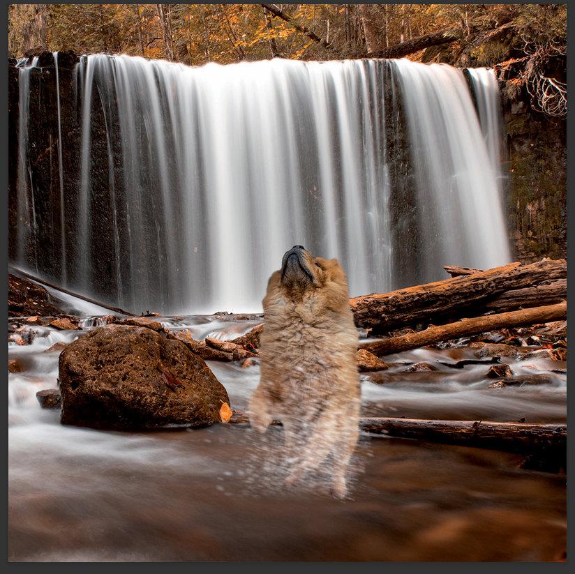 cd de détente mp3 (junior qui ce balade) créé par pierreau zen musique rousseau geoffrey 3h de musque de détente
