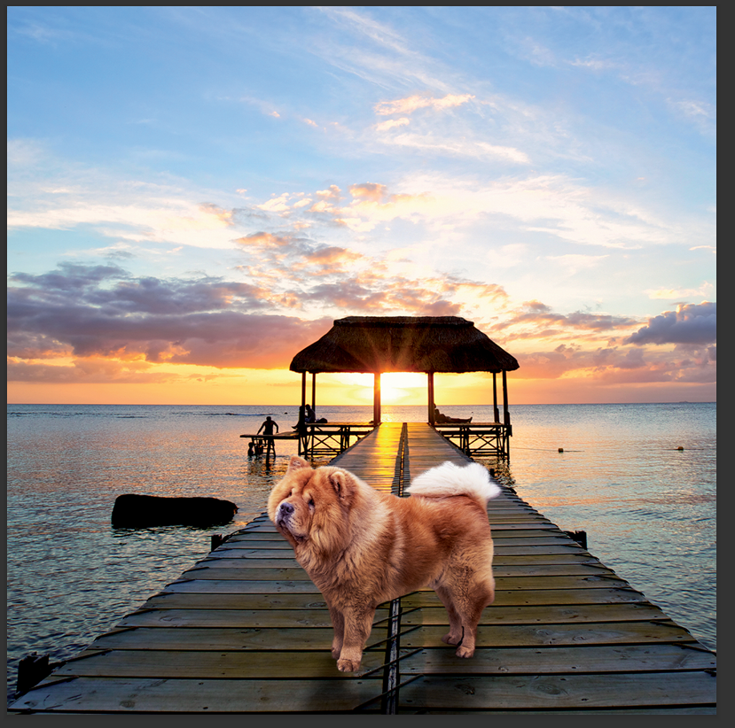 cd de musique de détente mp3 (junior qui d'or) créé par pierreau zen musique donc rousseau geoffrey environ 3h de musique