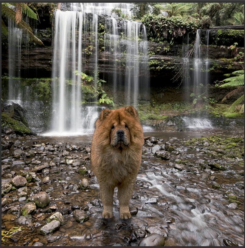 cd de détente mp3 (junior qui ce balade) créé par pierreau zen musique rousseau geoffrey 3h de musque de détente