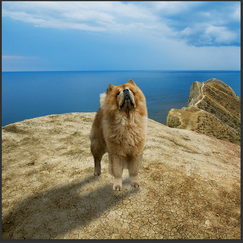 cd de musique de détente mp3 (junior qui d'or) créé par pierreau zen musique donc rousseau geoffrey environ 3h de musique