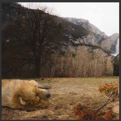 cd de musique de détente mp3 (BALADE DANS LES RËVES DE JUNIOR) créé par pierreau zen musique donc Rousseau Geoffrey environ 3h de musique