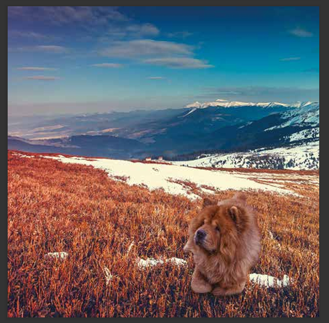 cd de musique de détente mp3 (BALADE DANS LES RËVES DE JUNIOR) créé par pierreau zen musique donc rousseau geoffrey environ 3h de musique