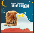 cd de musique de détente mp3 (JUNIOR QUI DORT) créé par pierreau zen musique Rousseau Geoffrey environ 3h de musique