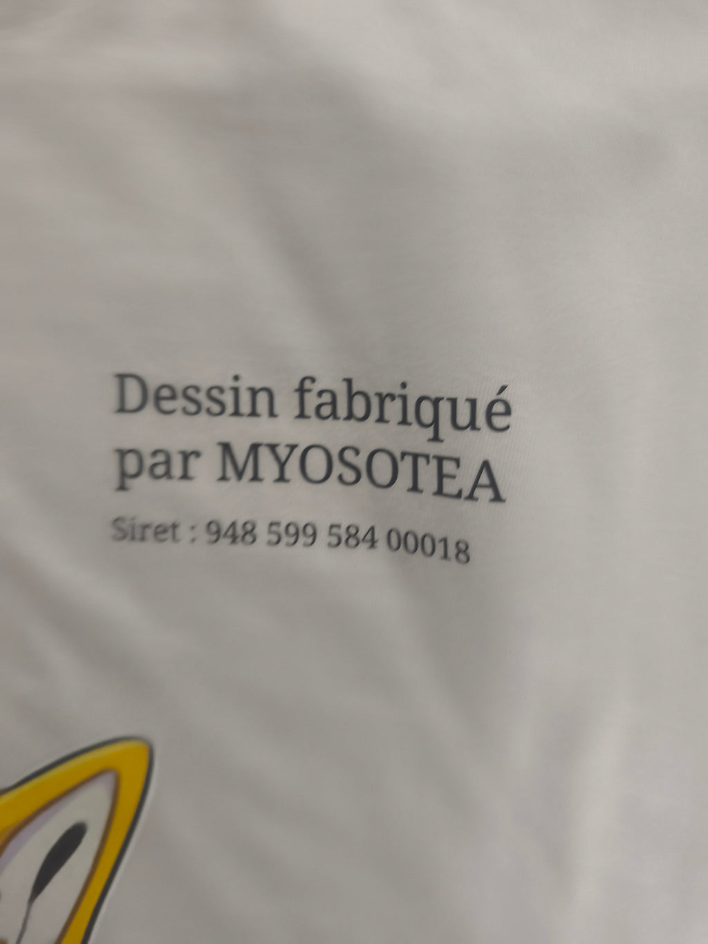 t-shirt avec mon avatar bébé dragon qui suce sa tétine